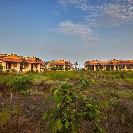 Blackbuck Safari Lodge Velavadar Bavliari Ngoại thất bức ảnh