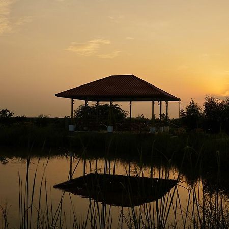 Blackbuck Safari Lodge Velavadar Bavliari Ngoại thất bức ảnh