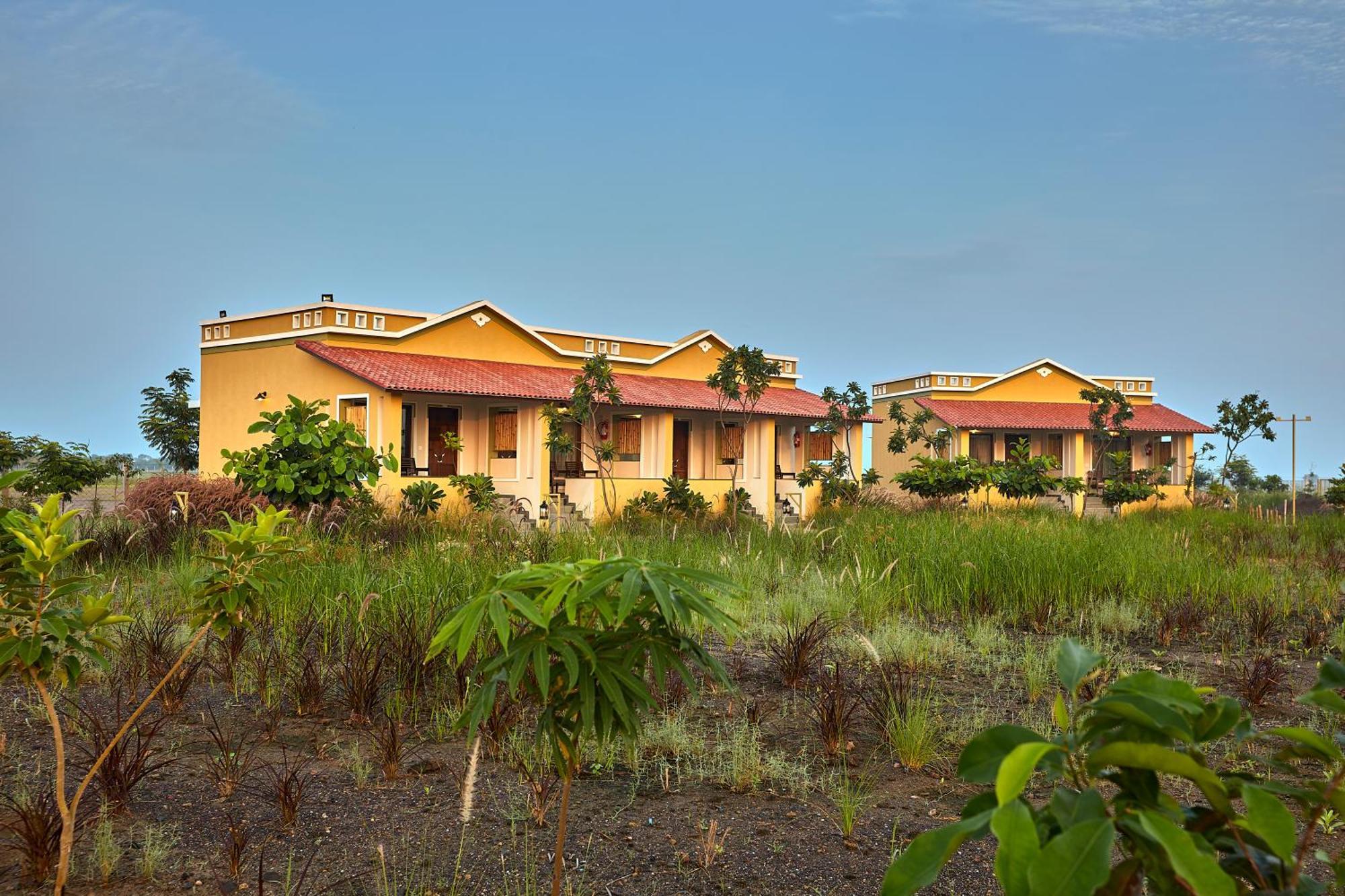 Blackbuck Safari Lodge Velavadar Bavliari Ngoại thất bức ảnh