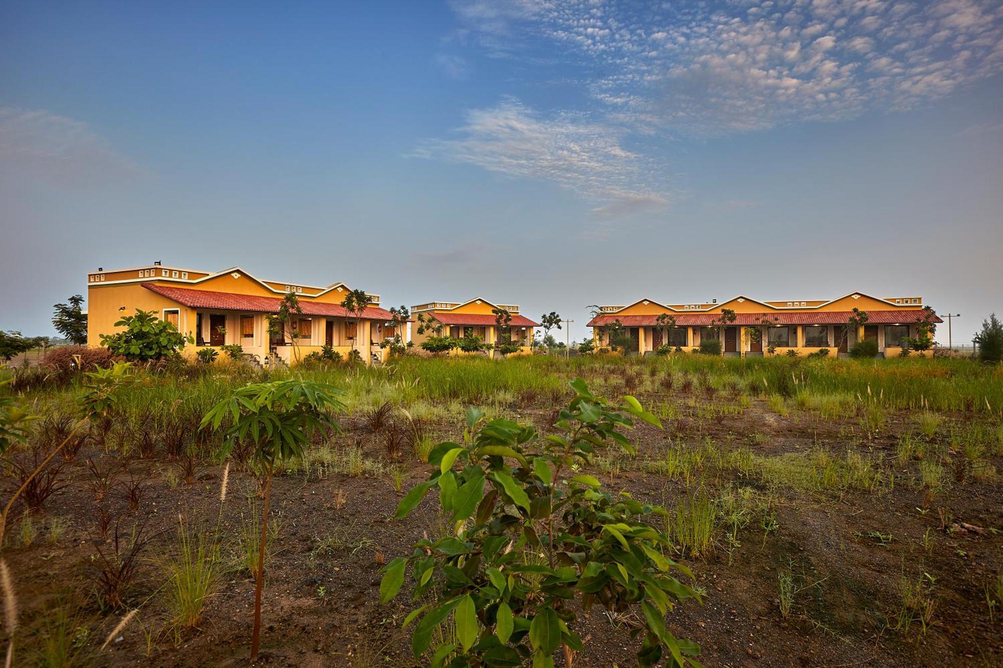 Blackbuck Safari Lodge Velavadar Bavliari Ngoại thất bức ảnh