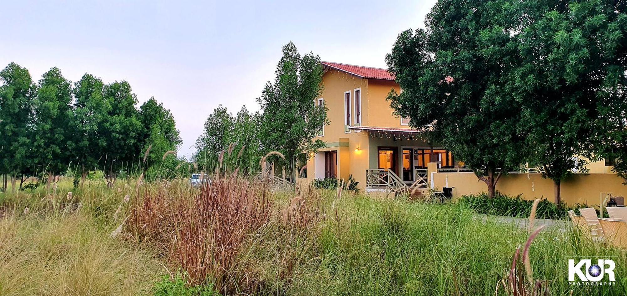 Blackbuck Safari Lodge Velavadar Bavliari Ngoại thất bức ảnh