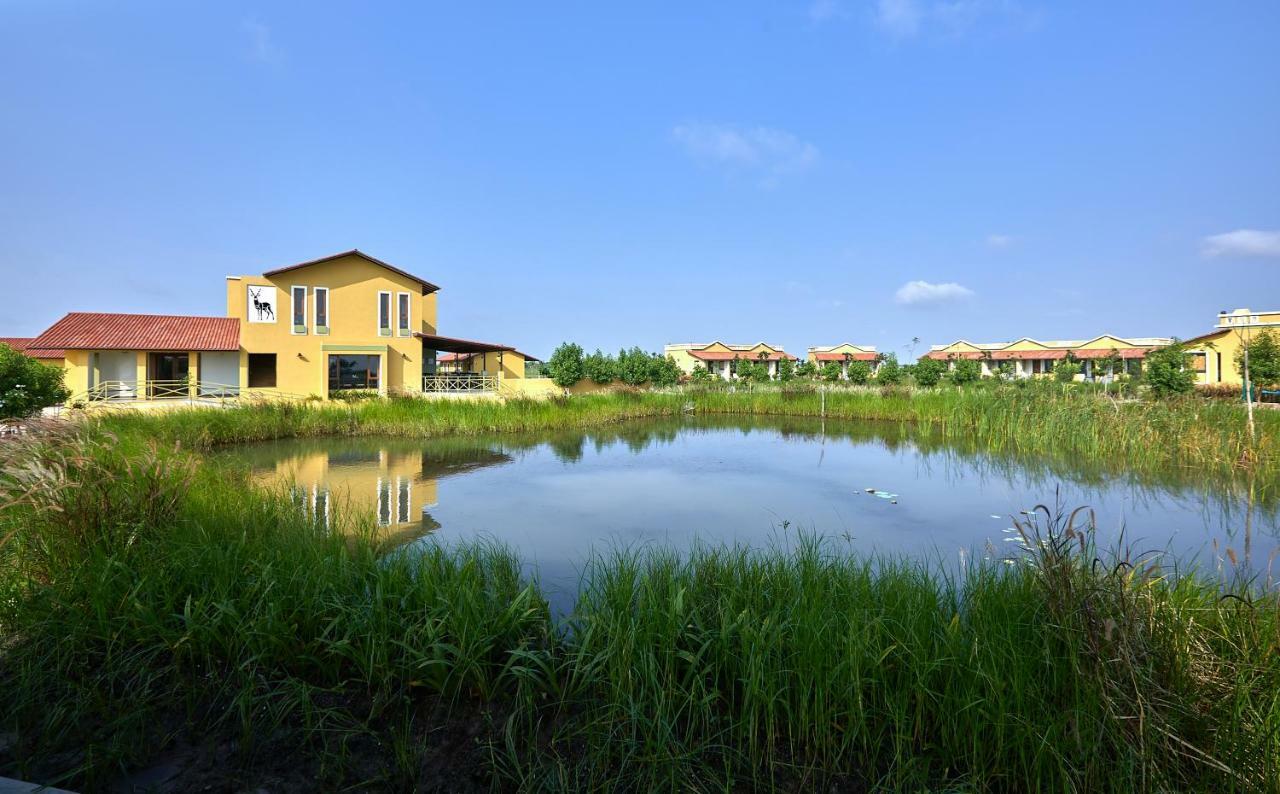 Blackbuck Safari Lodge Velavadar Bavliari Ngoại thất bức ảnh